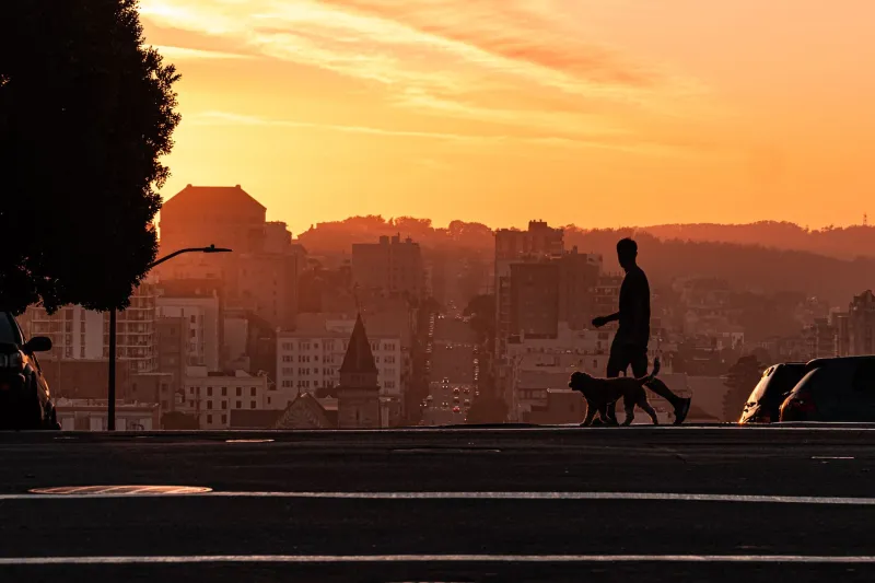 Why the Most Boring Wellness Routine Might Be the One That Actually Saves You